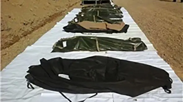 4 شرور در هرمزگان کشته شدند / یک پرچم داعش همراه آنان بود! + عکس