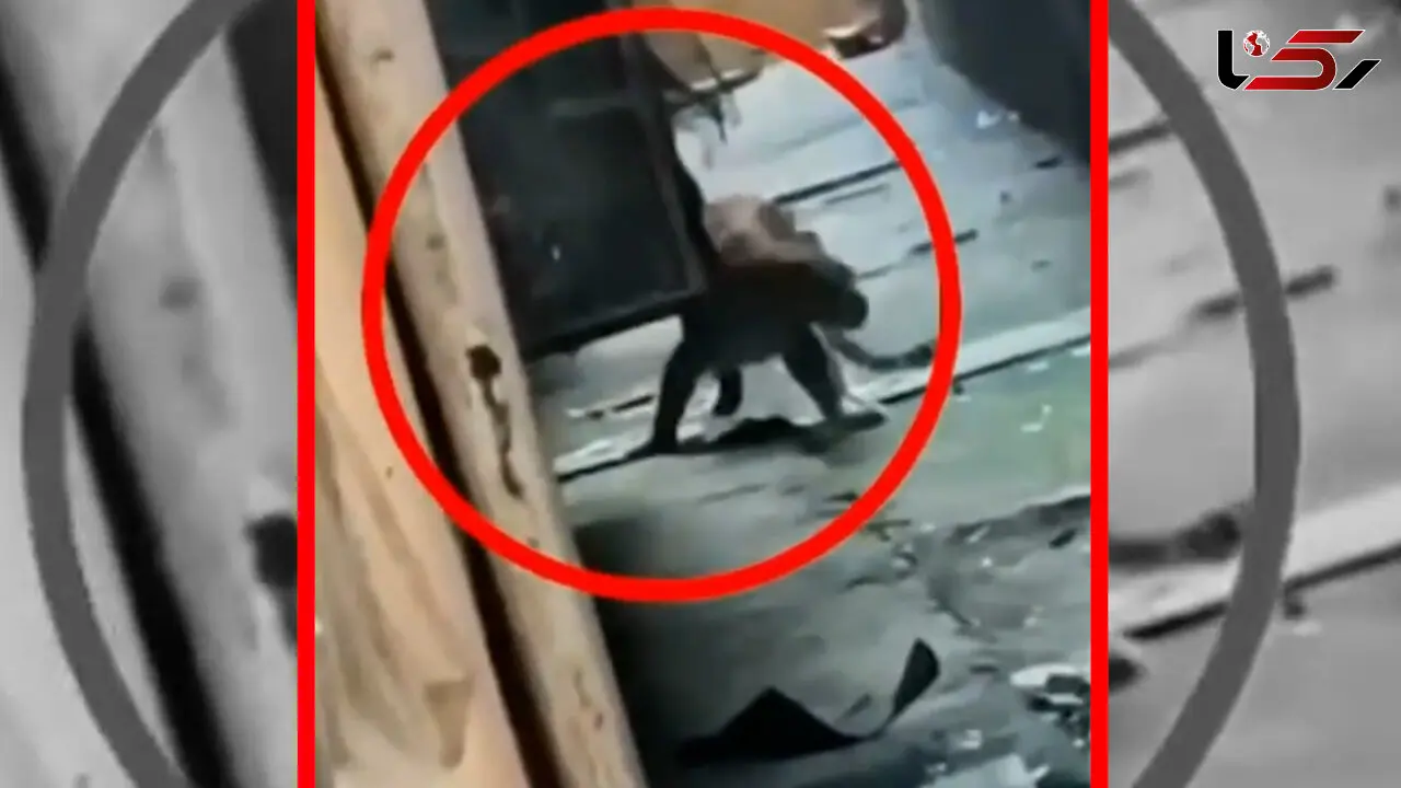 فیلم حمله پلنگ به 7 زن و مرد هندی