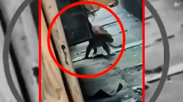 فیلم حمله پلنگ به 7 زن و مرد هندی