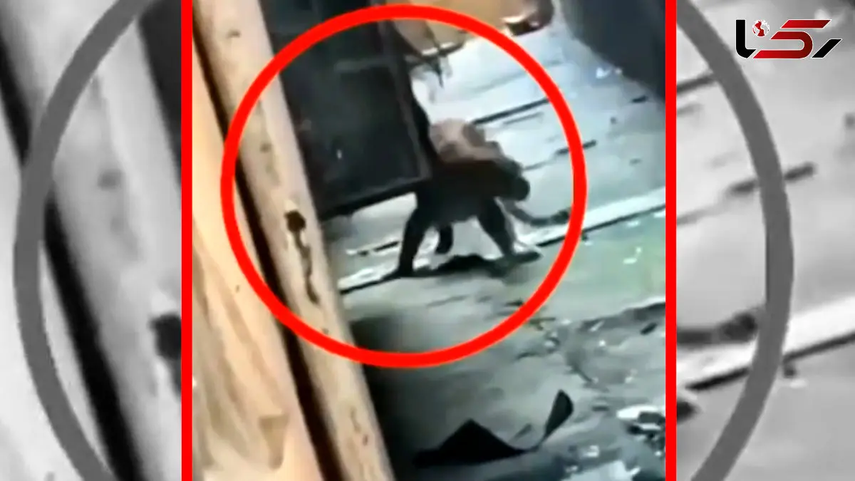 فیلم زخمی شدن ۷ نفر توسط پلنگ در هند