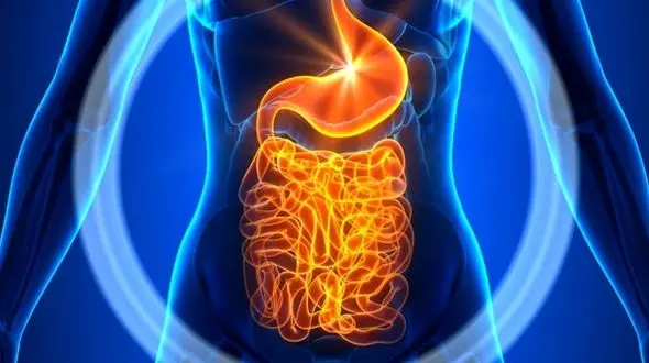 سم زدایی کبد را با این ترکیب ساده با شیر انجام دهید 