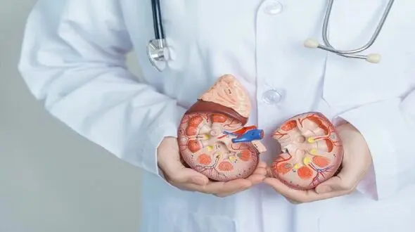 مشکلات گوارشی در کمین بیماران پیشرفته کلیوی