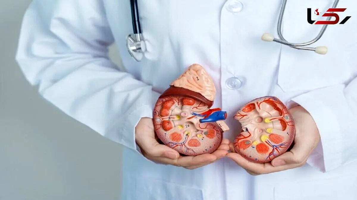 مشکلات گوارشی در کمین بیماران پیشرفته کلیوی