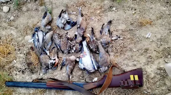 حکم جالب قاضی در دهلران ! / این مرد 6 ماه چه باید کند ؟!