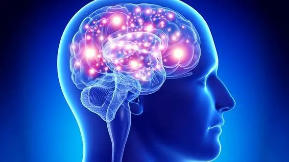 امکان پیش‌بینی زمان مرگ با برآورد سن مغز