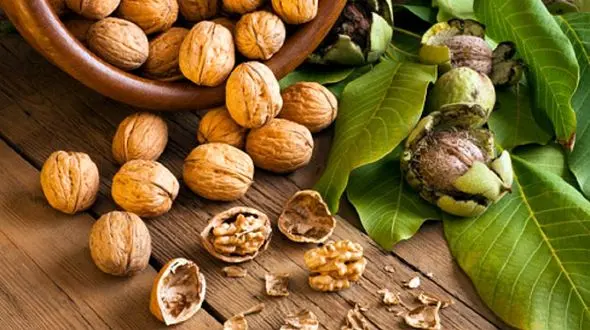 کاهش خطر ابتلا به سرطان با مصرف گردو - راز سلامتی شما کشف شد!