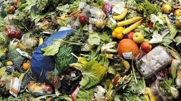 ارزش ضایعات مواد غذایی در ایران سالانه حدود ۱۵ میلیارد دلار است/ میوه، نان بیشترین ضایعات غذا در ایران 