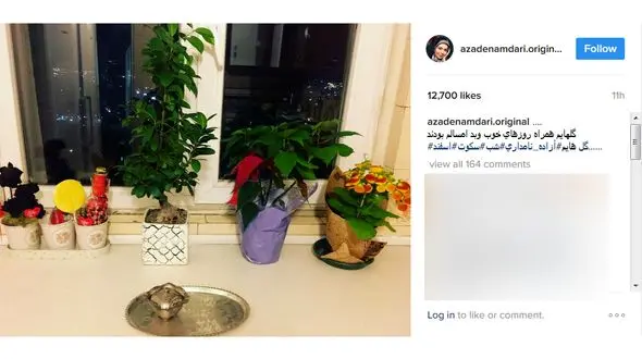  همراه همیشگی روزهای خوب و بد آزاده نامداری+عکس 