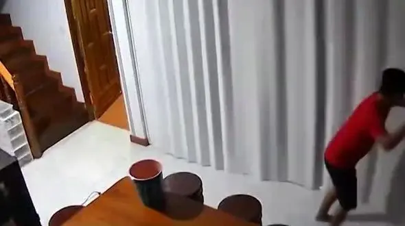 ببینید / لحظه جنون یک گربه مقابل دوربین‌های مداربسته / حمله ناگهانی به صاحب خود! + فیلم