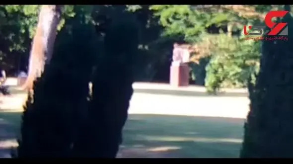 فیلم لحظه سرقت جواهرات سلطنتی از عمارت یک ثروتمند انگلیسی