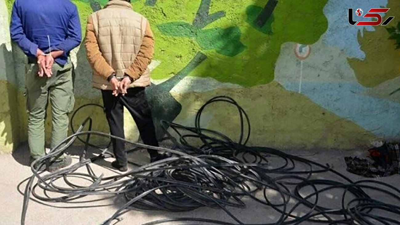 بازداشت دزدانی که تلفن های مردم نیکشهر را قطع می کردند + جزییات