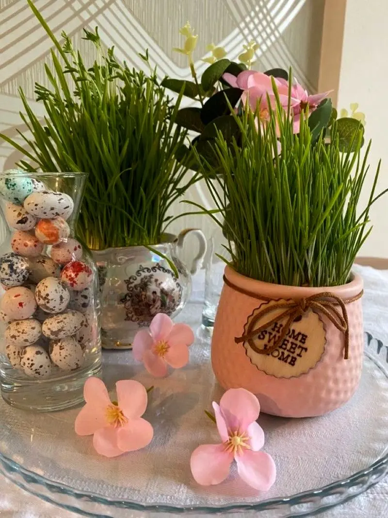 مدل سبزه عید ۱۴۰۵ | بهترین ایده های خلاقانه ساده و جذاب مدل سبزه عید ۱۴۰۵ مخصوص عروس هایی که میخوان سفره هفت سین شیکی داشته باشن!