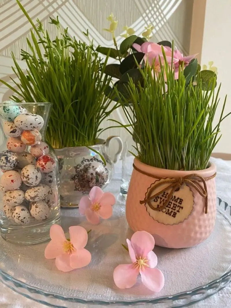 مدل سبزه عید ۱۴۰۵ | بهترین ایده های خلاقانه ساده و جذاب مدل سبزه عید ۱۴۰۵ مخصوص عروس هایی که میخوان سفره هفت سین شیکی داشته باشن!