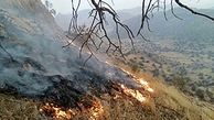 مهار آتش سوزی منابع طبیعی در اندیکا