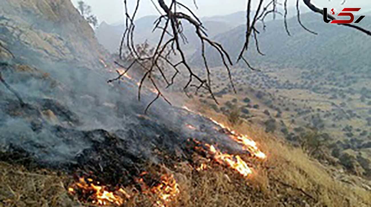مهار آتش سوزی جنگل‌های "دشتک" شهرستان دنا