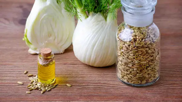 خوراکی های نفخ آور و ضد نفخ را بشناسیم