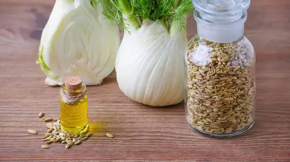 خوراکی های نفخ آور و ضد نفخ را بشناسیم