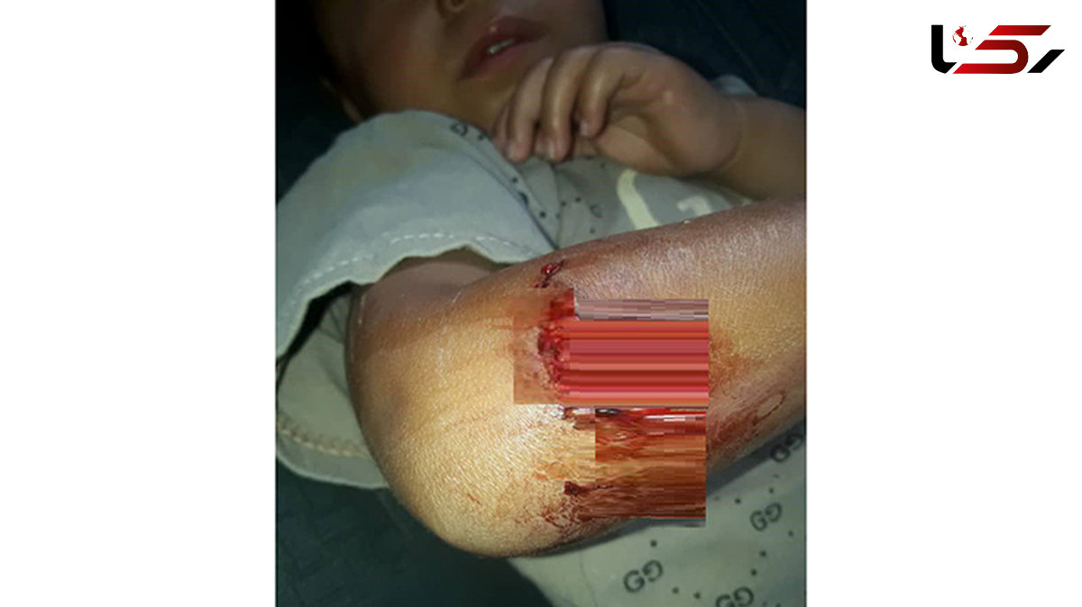 سرنوشت کودک سیل‌زده خوزستانی میان دندان های گرگ وحشی+ عکس دلخراش