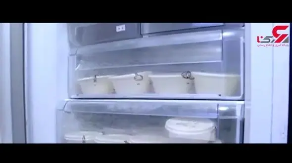 بانکی که در آن شیر نگهداری می‌شود! + فیلم 