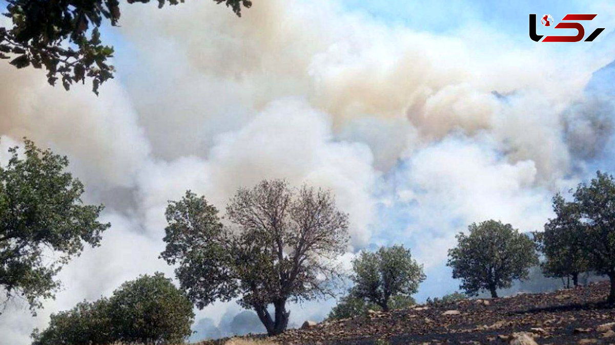 عوامل آتش سوزی ‌جنگل های زاگرس‌ در لرستان شناسایی شدند + جزئیات