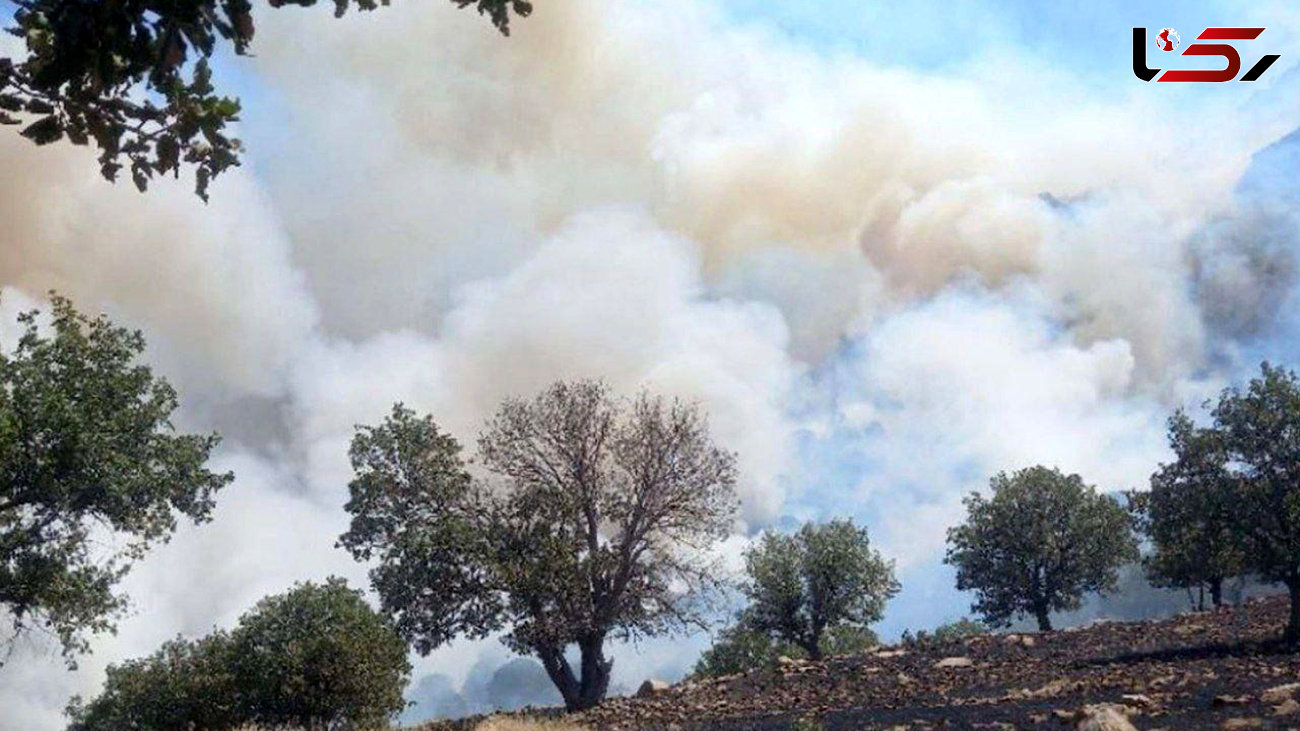 ۵ نفر در لرستان به اتهام آتش‌ زدن عمدی مراتع شناسایی شدند