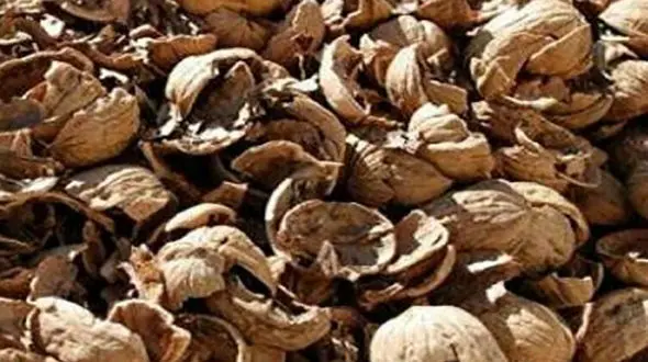 خواص پوست گردو + فیلم