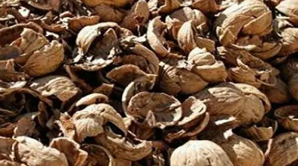 خواص پوست گردو + فیلم