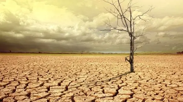 دولت به کشاورزان خسارت نکاشت بدهد تا تابستان تنش اجتماعی آبی شکل نگیرد/ خطر تشدید فرونشست زمین در دشت ها