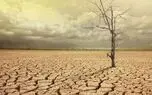 دولت به کشاورزان خسارت نکاشت بدهد تا تابستان تنش اجتماعی آبی شکل نگیرد/ خطر تشدید فرونشست زمین در دشت ها