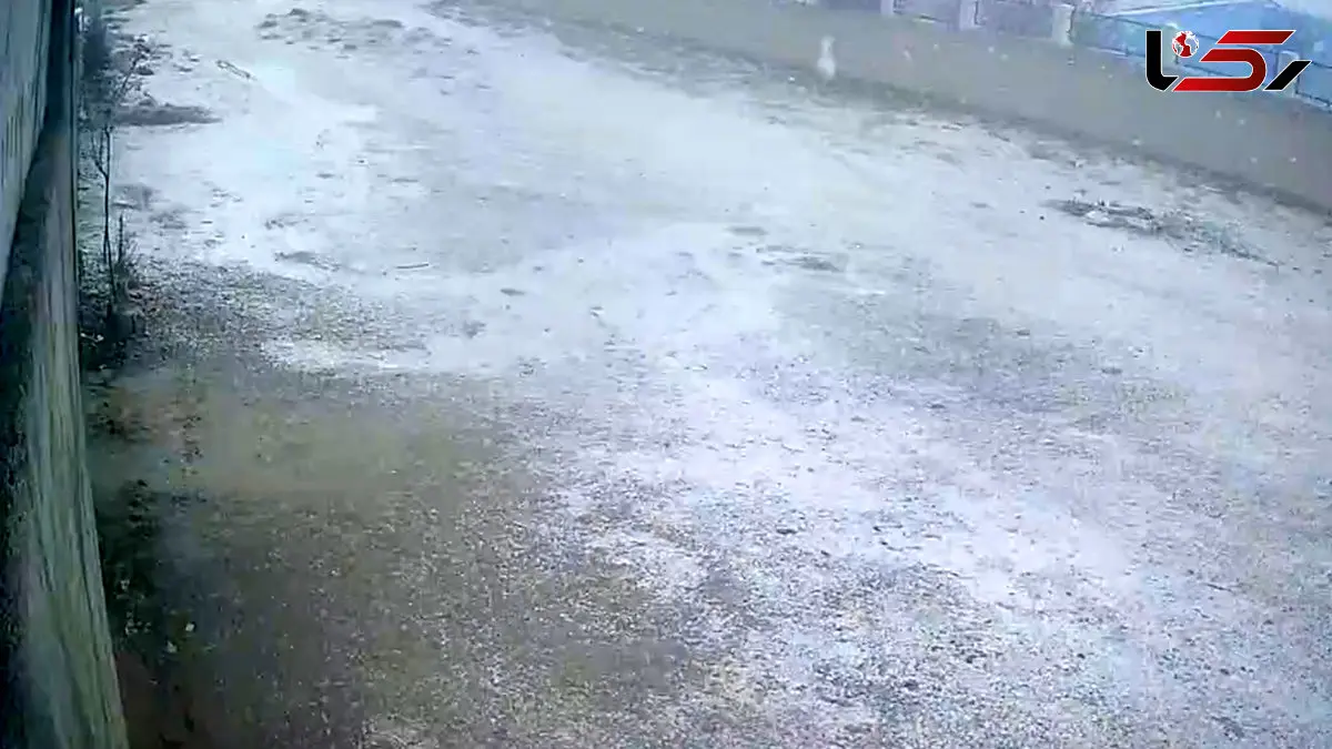 فیلم بارش برف و آرامش زمستانی در کرج