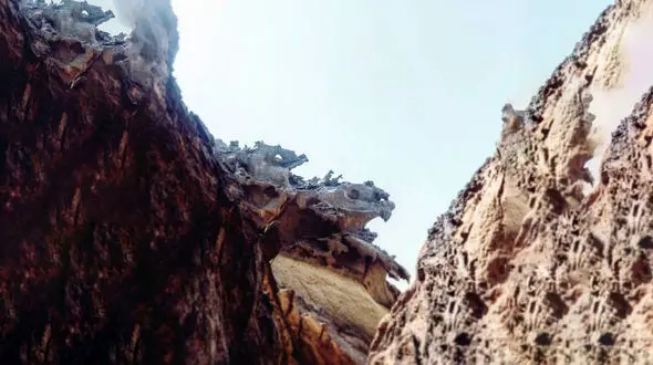 اژدهای واقعی را در این جزیره ایرانی ببینید نه در افسانه ها + عکس