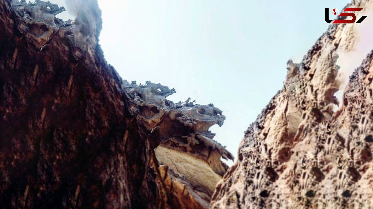 اژدهای واقعی را در این جزیره ایرانی ببینید نه در افسانه ها + عکس