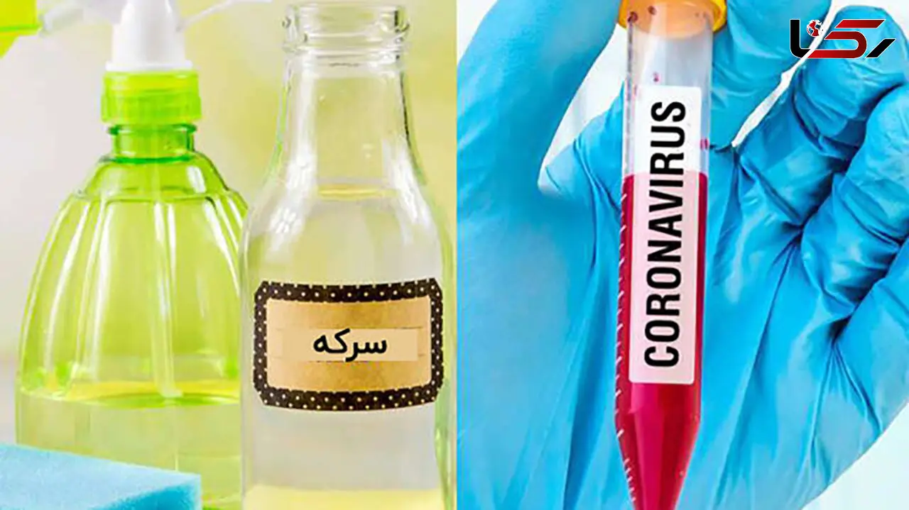 بررسی تاثیر سرکه و نمک روی کرونا 