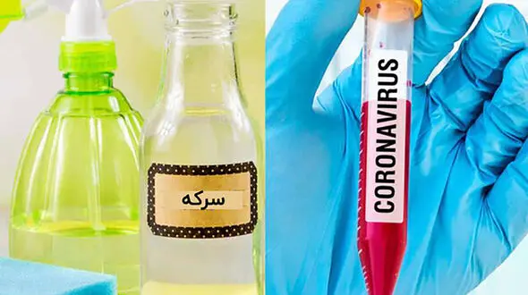 بررسی تاثیر سرکه و نمک روی کرونا 