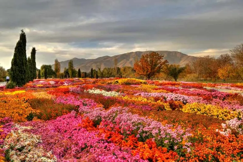 تصویر باغ ملی گیاه_ شناسی تهران