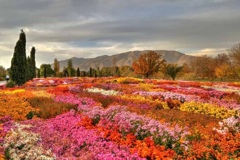 تصویر باغ ملی گیاه_ شناسی تهران