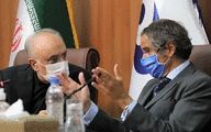 AEOI Salehi hold meeting with IAEA Grossi in Tehran