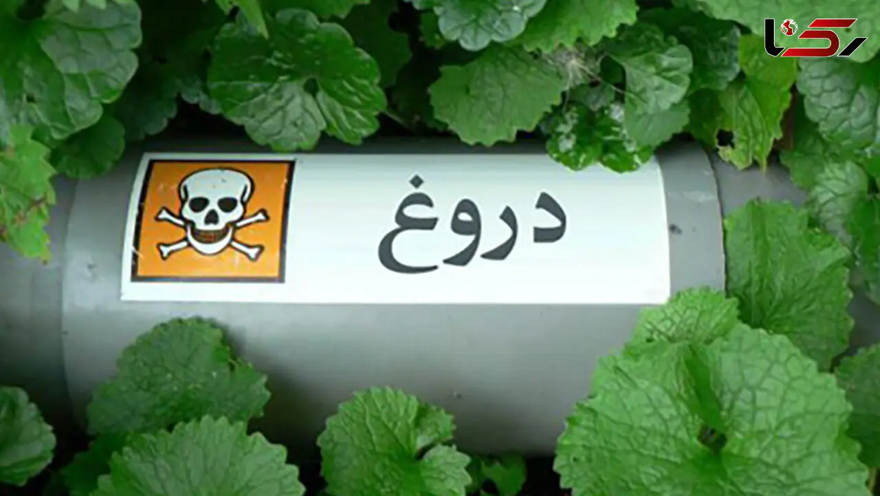 فیلم بالیوودی  ساخته اید؟ / چطور یک نفر سه روز خودش را در یک کیسه زباله به مردن بزند؟!