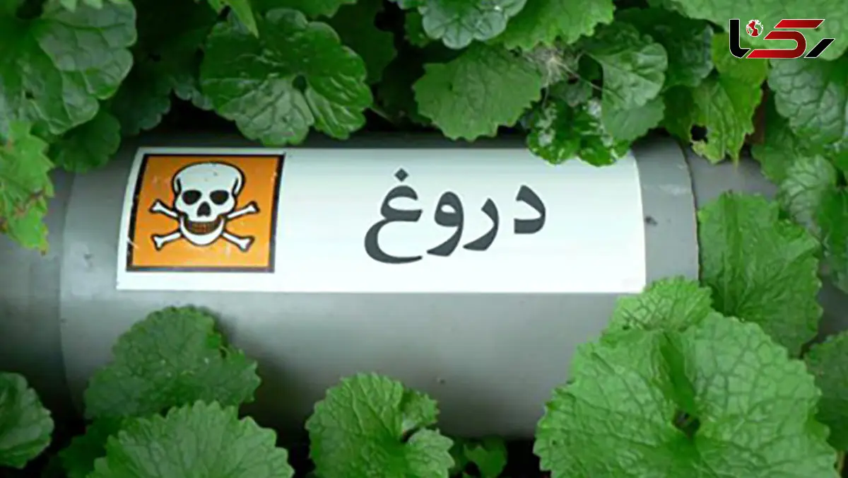 فیلم بالیوودی  ساخته اید؟ / چطور یک نفر سه روز خودش را در یک کیسه زباله به مردن بزند؟!