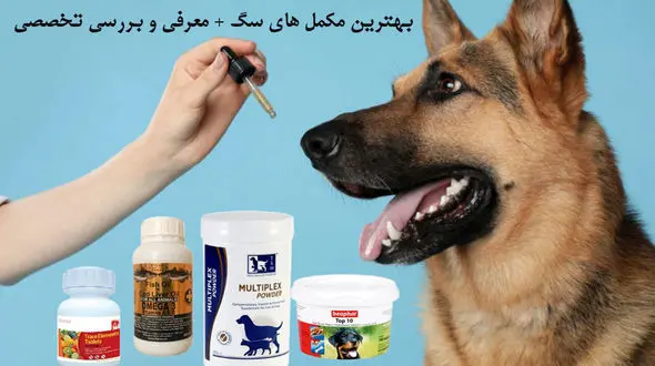 بهترین مکمل برای سگ کدام است؟ معرفی انواع مکمل و بررسی تخصصی