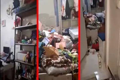 فیلم / دزدان خانه به گوشت و مرغ های یخچال هم رحم نکردند