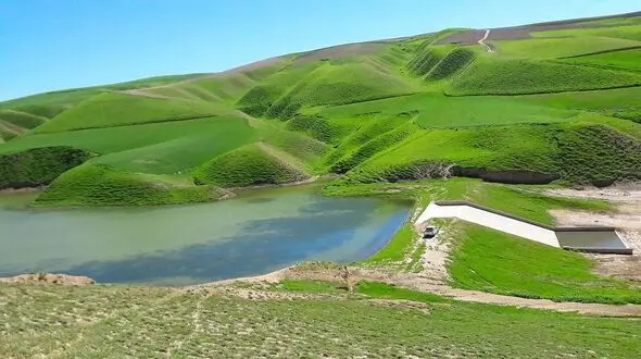اهمیت ماکارونی برای وزارت کشاورزی بیشتر از جنگل های ایران است / باید وزارت منابع طبیعی تشکیل شود + فیلم
