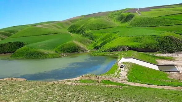 اهمیت ماکارونی برای وزارت کشاورزی بیشتر از جنگل های ایران است / باید وزارت منابع طبیعی تشکیل شود + فیلم