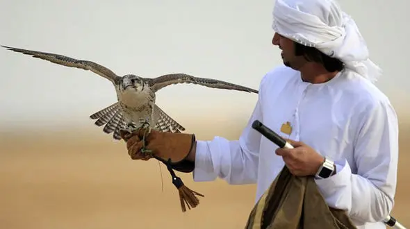 دخالت افراد دولتی در تسهیل قاچاق پرندگان در هرمزگان!/ مراجع قضایی در حال بررسی هستند