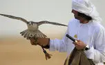 دخالت افراد دولتی در تسهیل قاچاق پرندگان در هرمزگان!/ مراجع قضایی در حال بررسی هستند