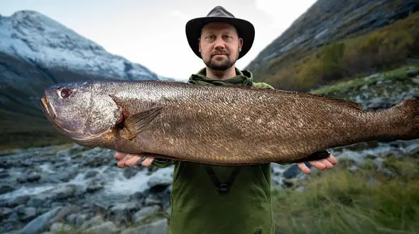 طرز تهیه غذای روستایی نروژ / کباب خوشمزه ماهی سالمون کنار دریاچه + فیلم