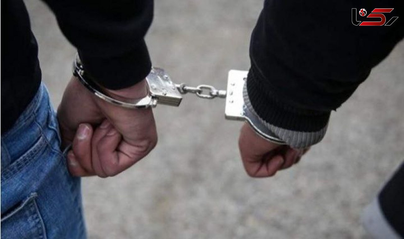 دستگیری چند سارق و مالخر و رمزگشایی از ۱۲ فقره سرقت در باخرز