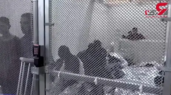 نگهداری مهاجران غیرقانونی در آمریکا در قفس! + فیلم 