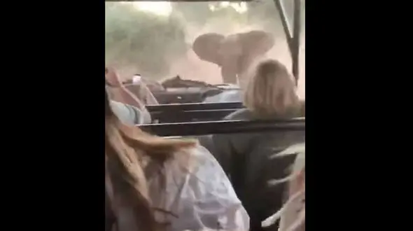 حمله ی هولناک فیل غول پیکر به توریست ها+عکس