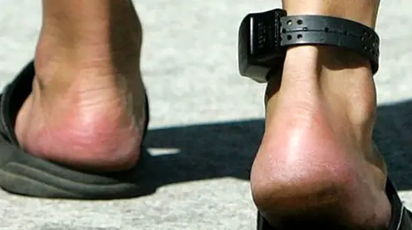 اتفاقی جالب برای 150 زندانی در استان فارس + جزییات